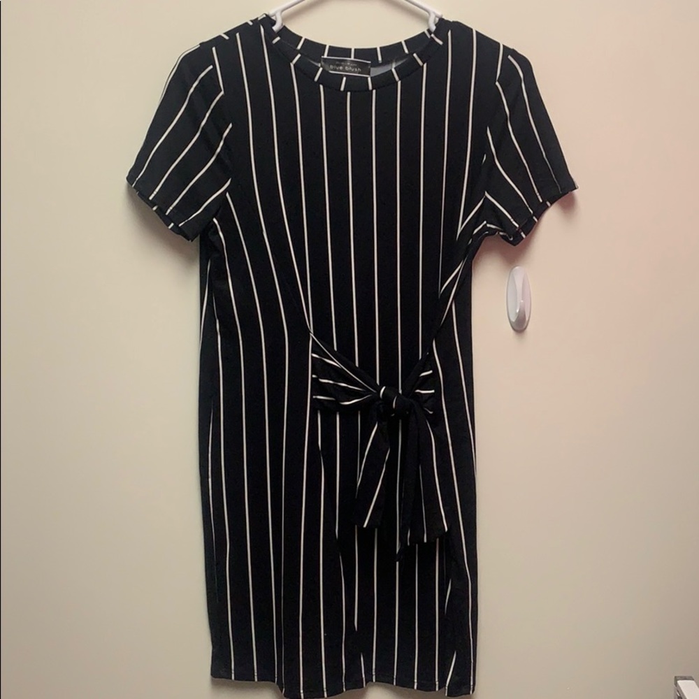 Blue Blush Parker Dress